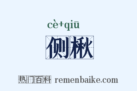 侧楸是什么意思的图片